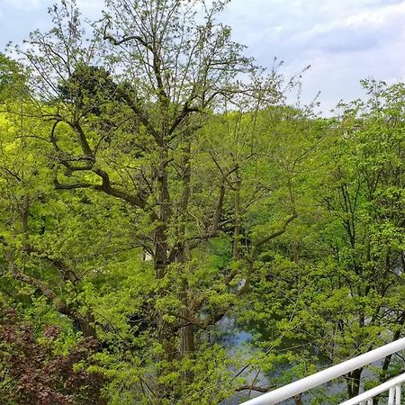 Ferienwohnung Parkblick Бремен Экстерьер фото